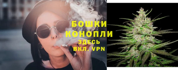круглые Бронницы