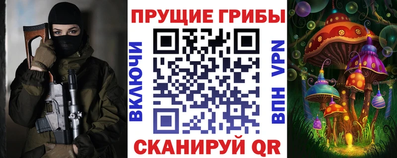Галлюциногенные грибы Psilocybe  где купить наркоту  Кодинск 