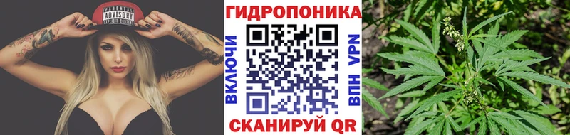 где купить   площадка состав  Конопля план  Кодинск 